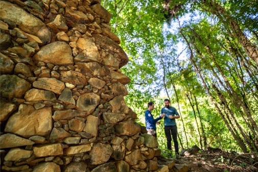 Mobirise Website Builder